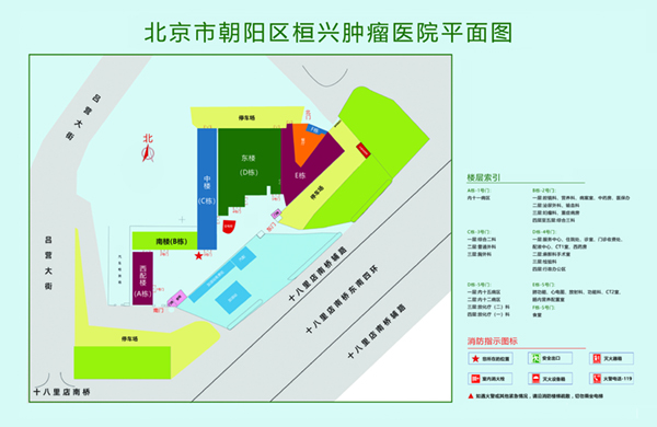 美国大毛泬北京市朝阳区桓兴肿瘤医院平面图